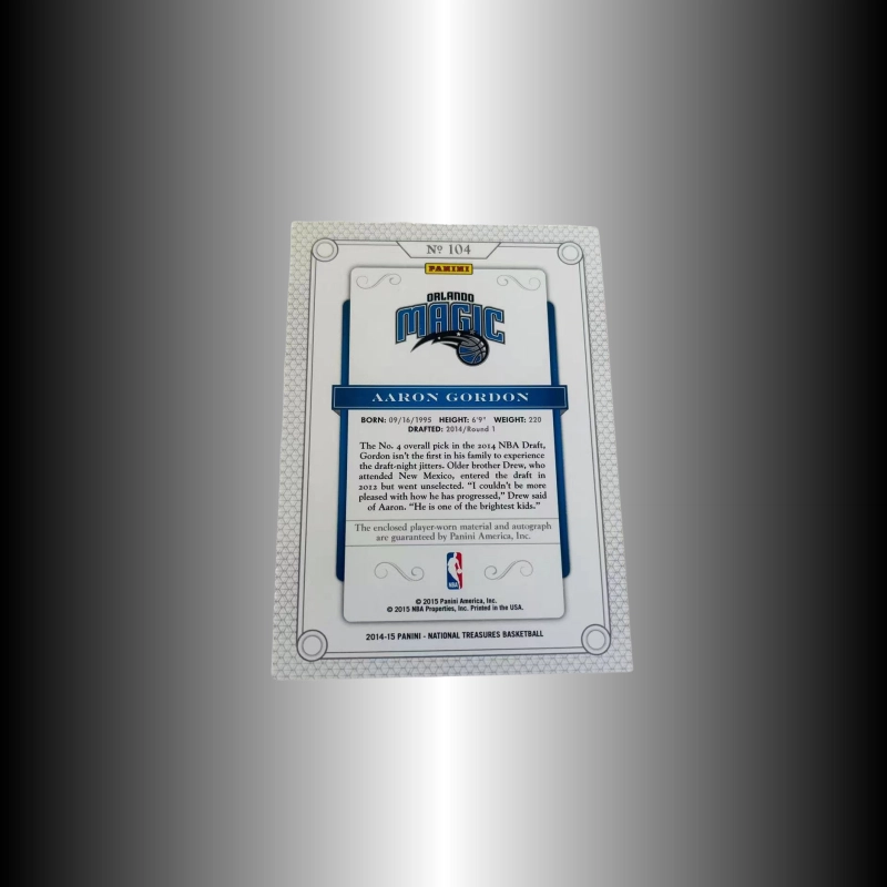 PANINI 14-15 RPA RC Patch