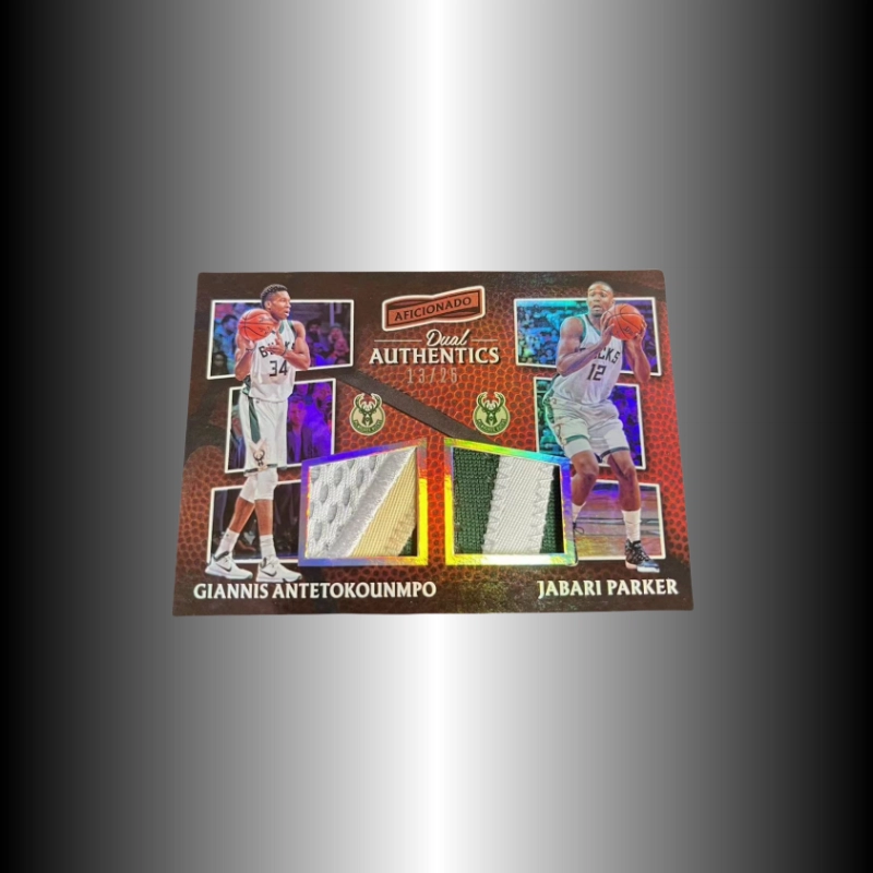 PANINI 16-17 25 PATCH