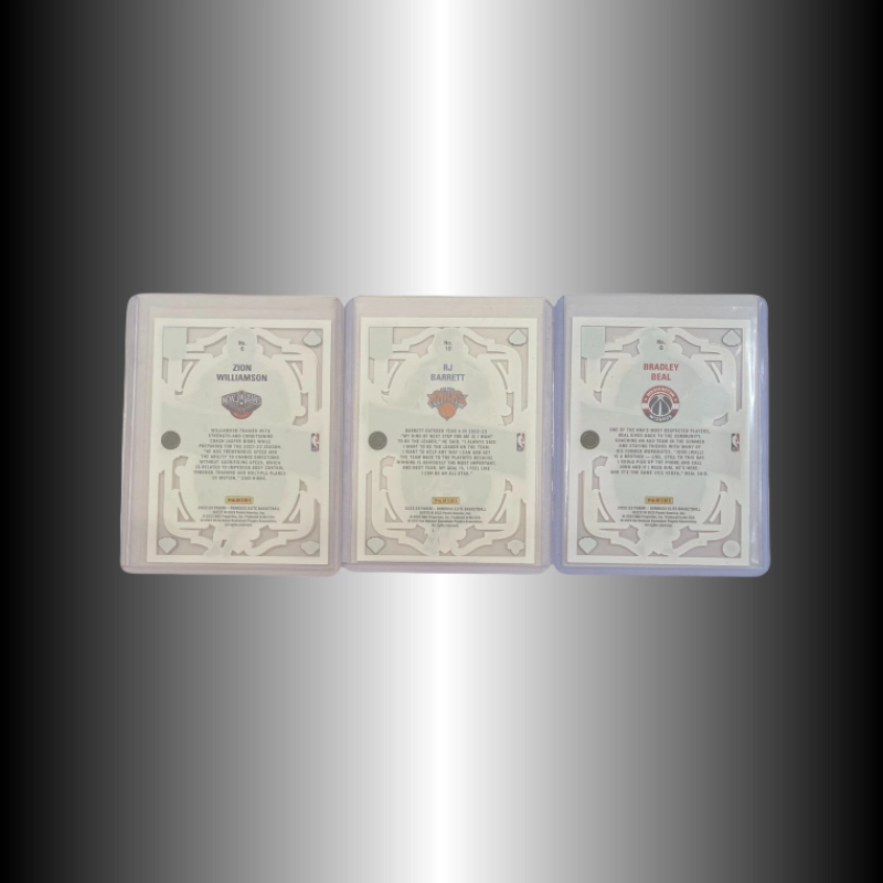 PANINI 2022-23 RJ 3