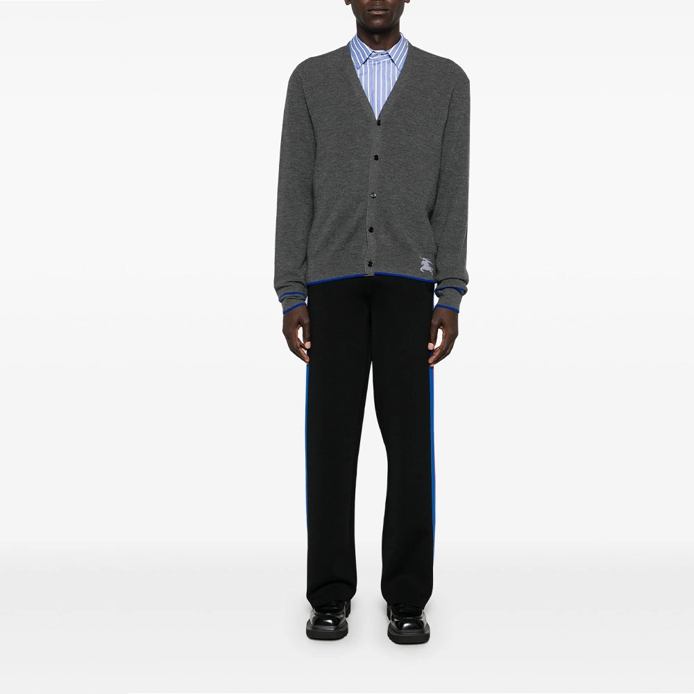 Burberry FW24 V