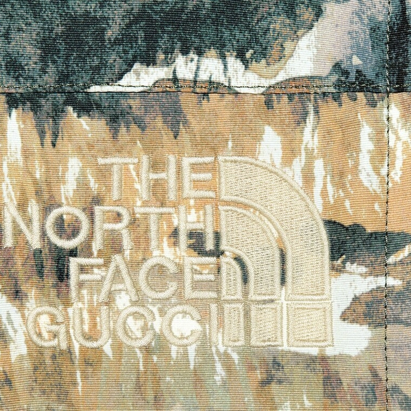 GUCCI x THE NORTH FACE FW21