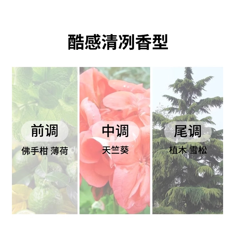 200ml200ml*2