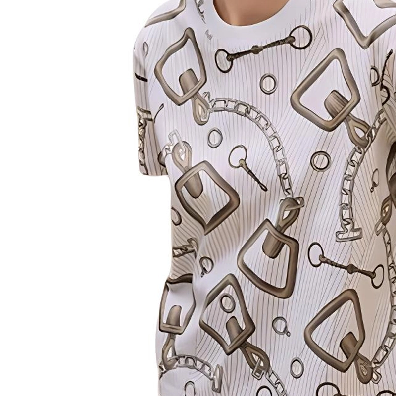 HERMES Logo T