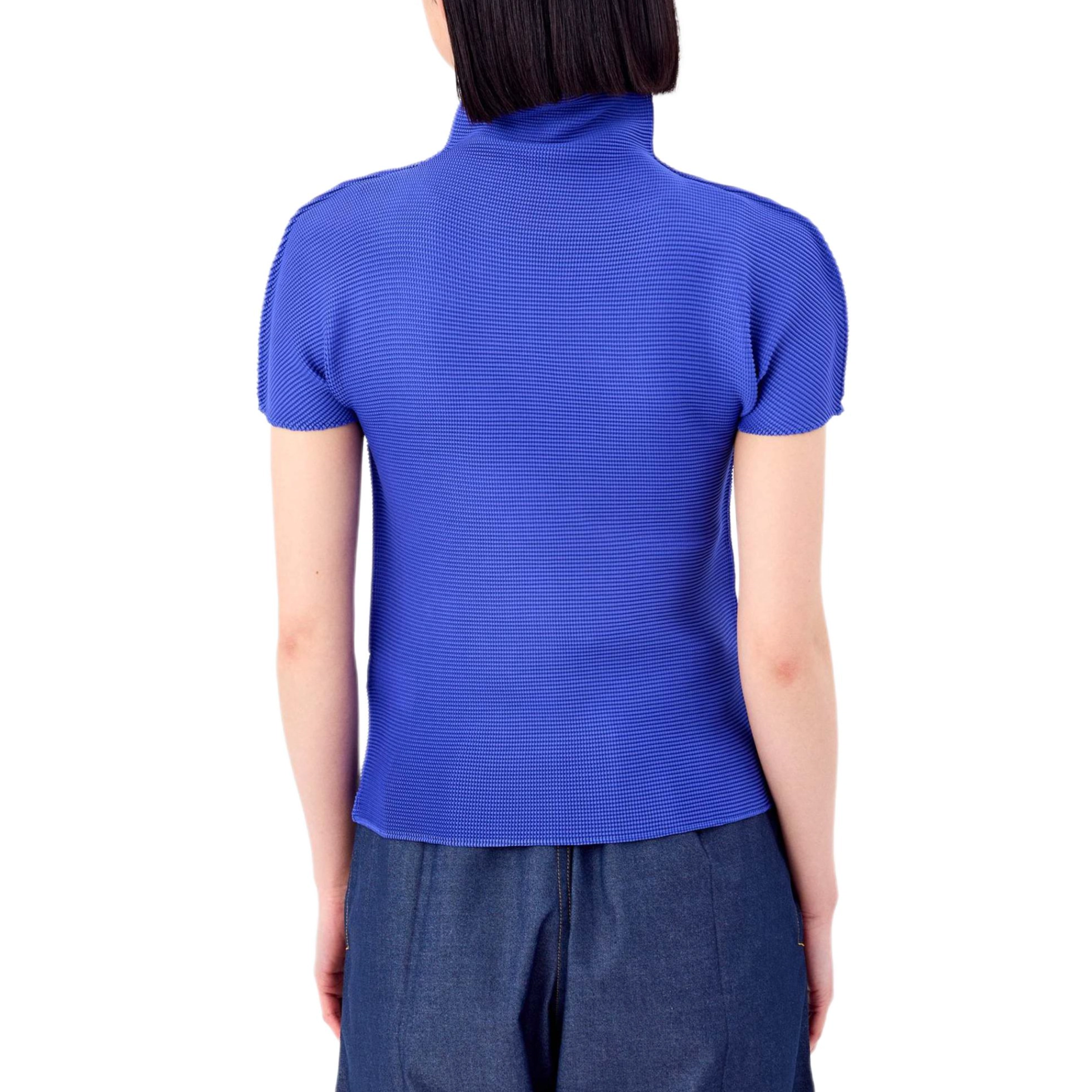 ISSEY MIYAKE FW25 T