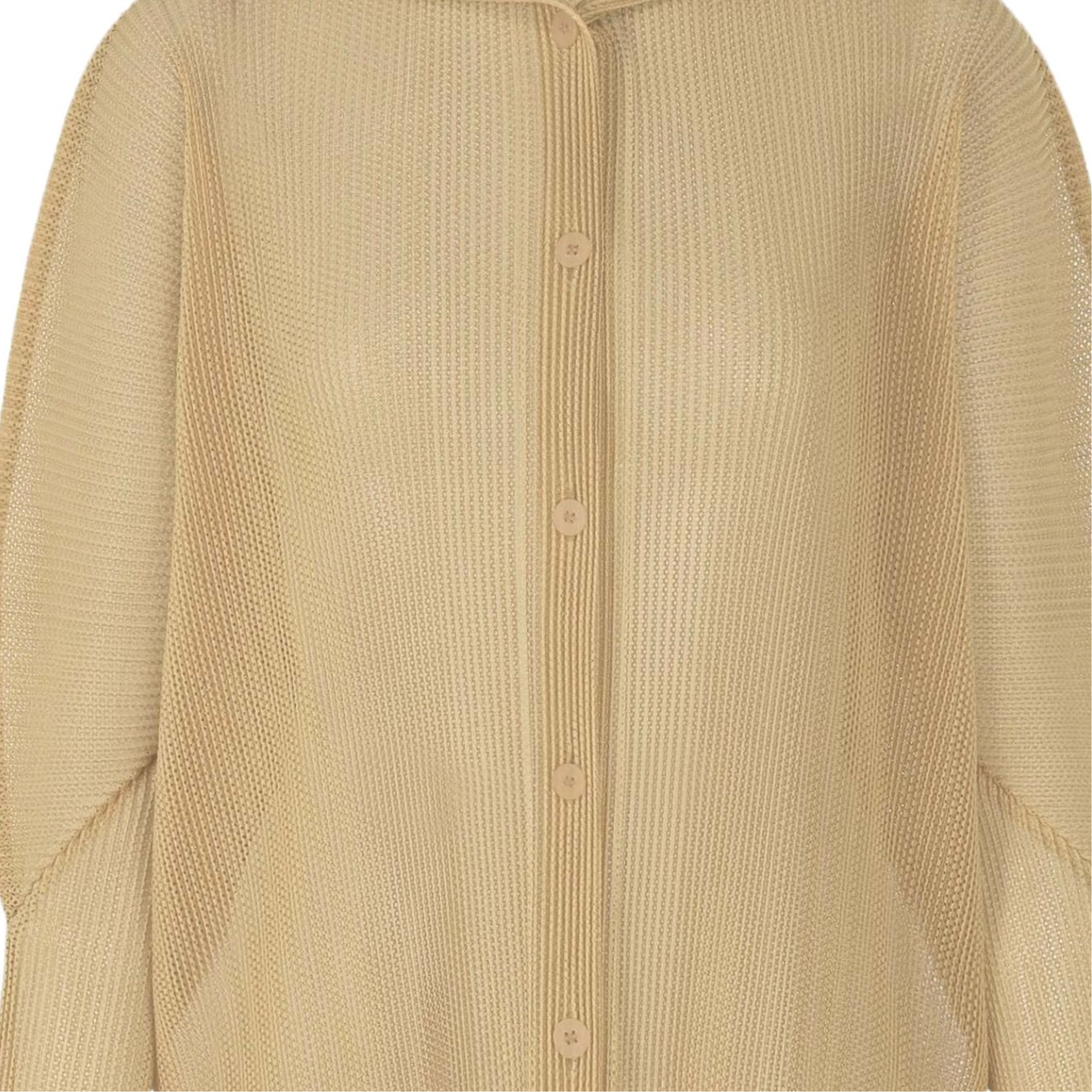 PLEATS PLEASE ISSEY MIYAKE FW25