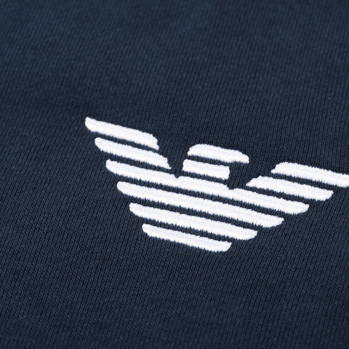 EMPORIO ARMANI FW24 Logo