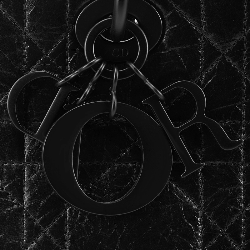 DIOR Lady D-Sire My ABCDior