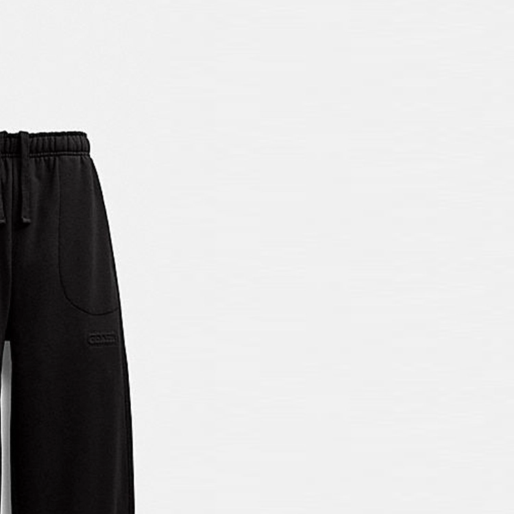 COACH FW23 Logo