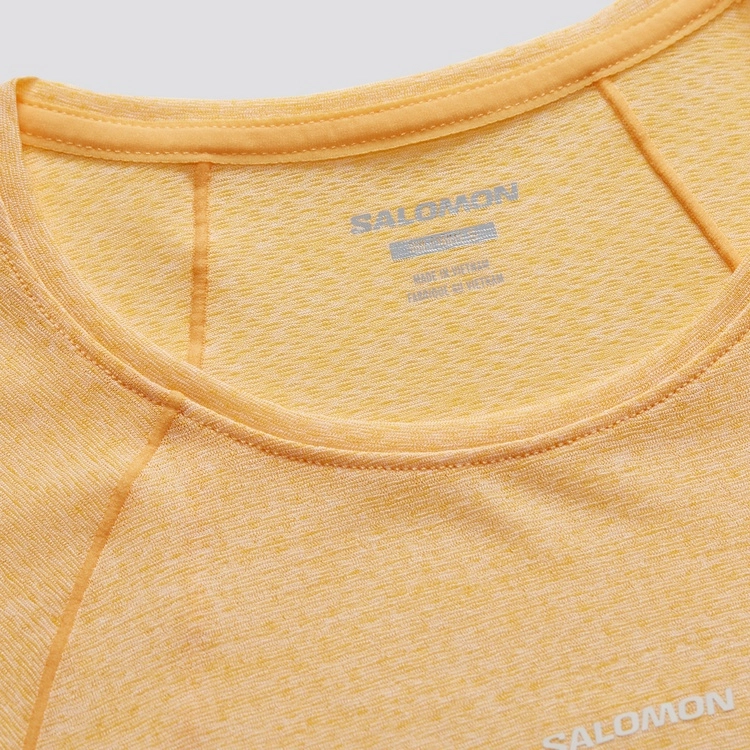 SALOMON T