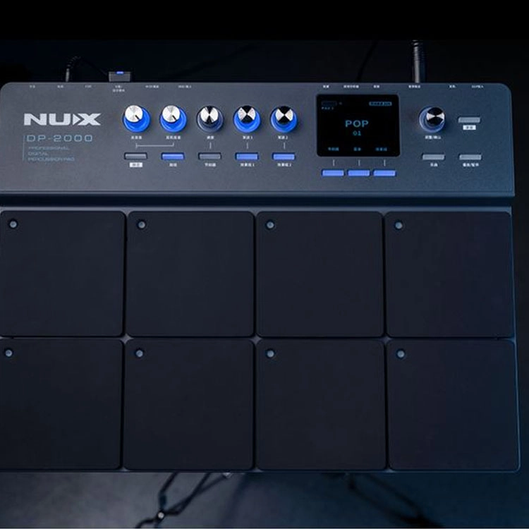 NUX DP-2000