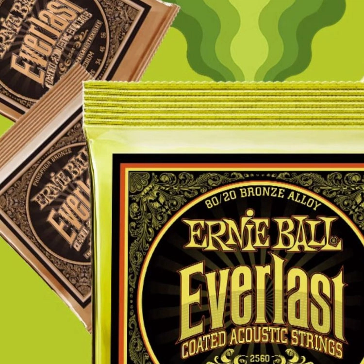 ERNIE BALL (EB) Everlast(
