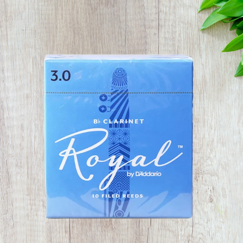 D'Addario Rico RicoRoyal( B