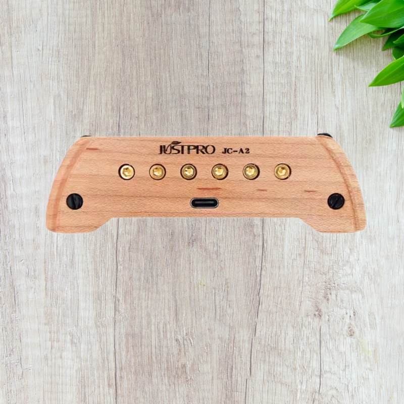 JUSTPRO JC-A2 DIY