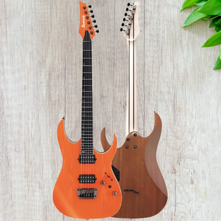 Ibanez () RGR5221-TFR 24