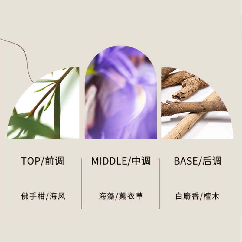 EDPEDT 100ml+50ml