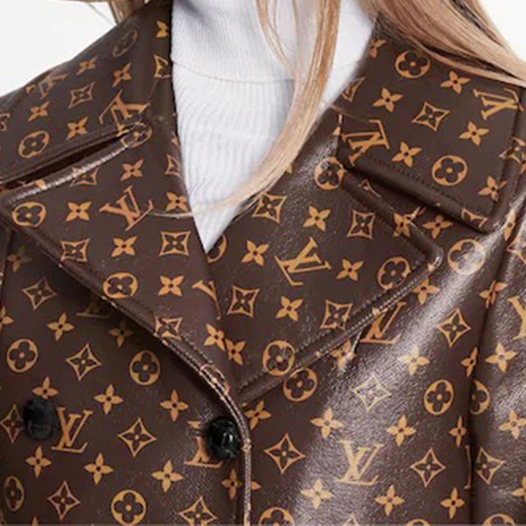 LOUIS VUITTON Monogram