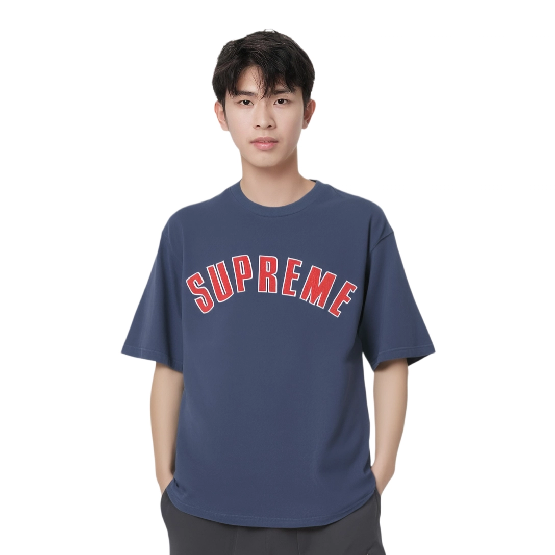 Supreme SS24 WEEK3 CRACKED ARC SS TOP T
