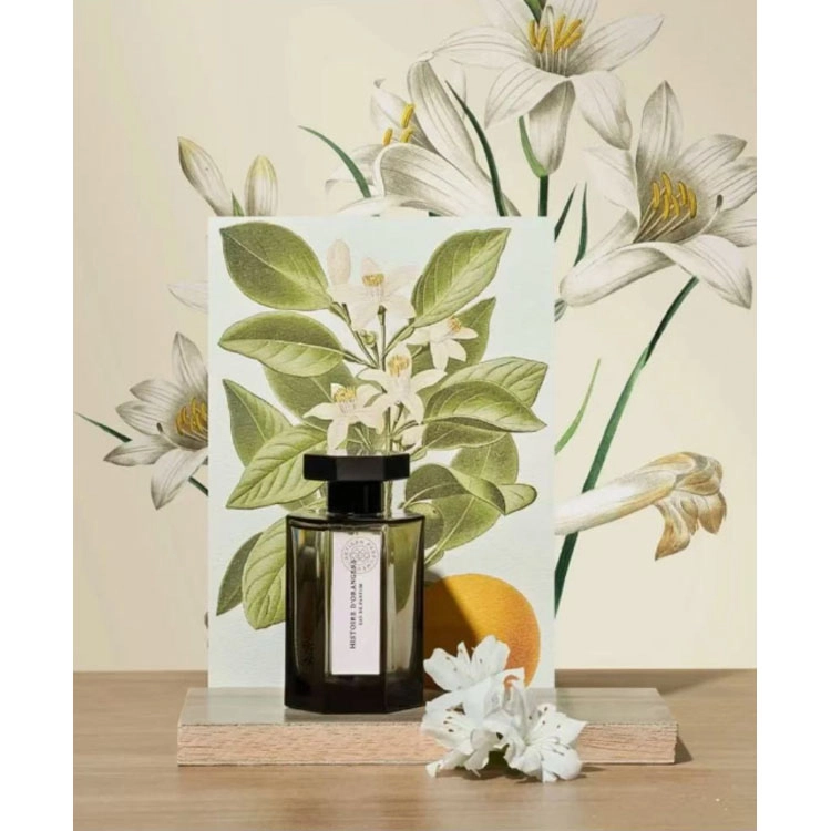 EDP 100ml