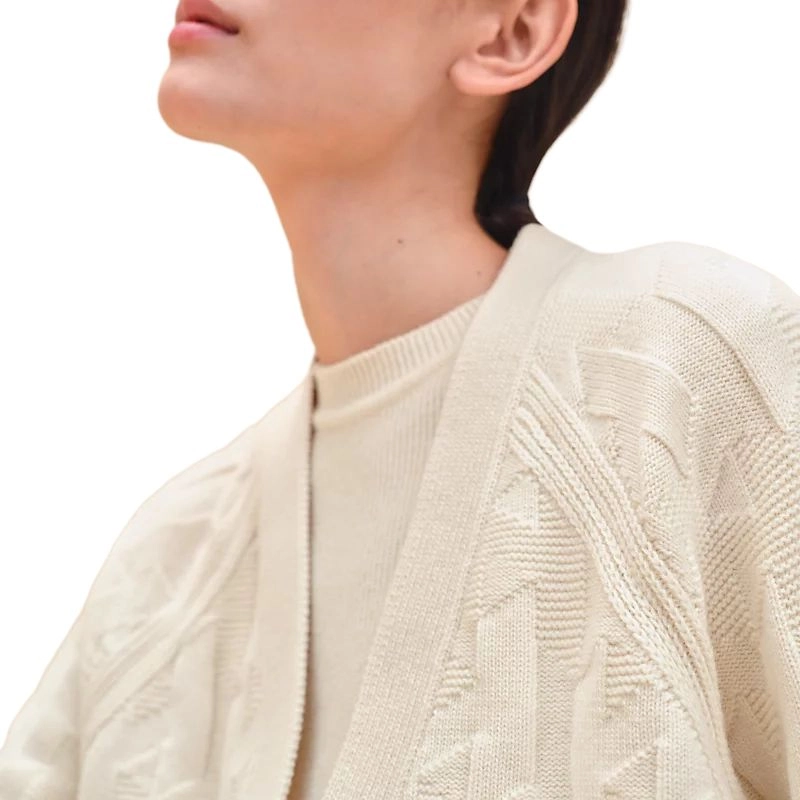 HERMES FW24 V