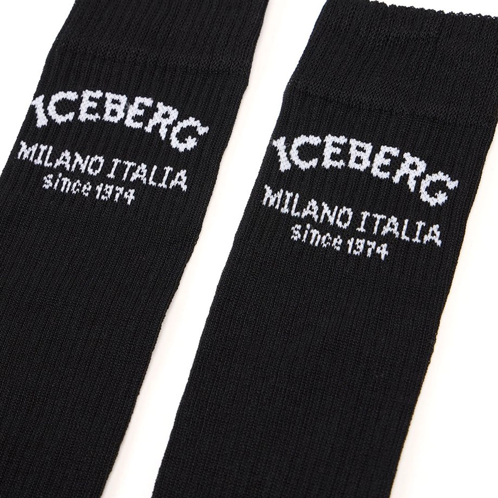 iceberg 1