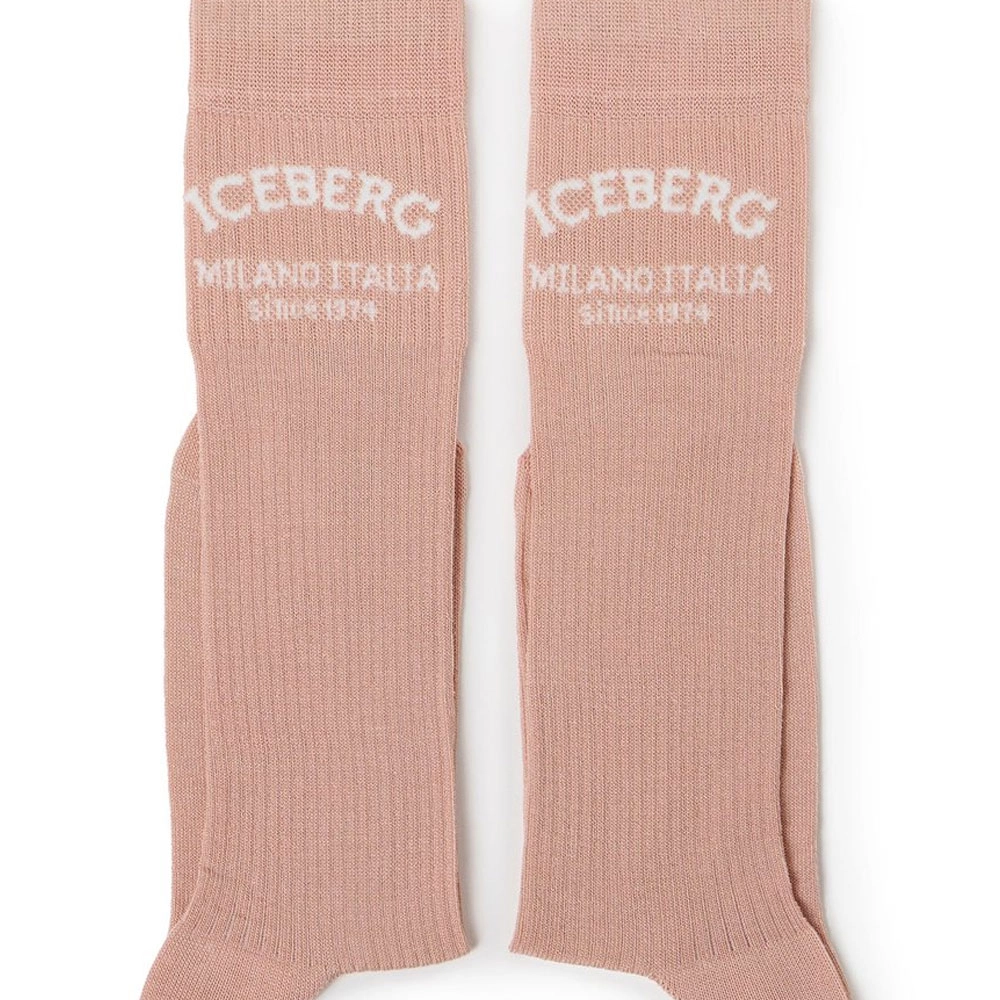 iceberg 1