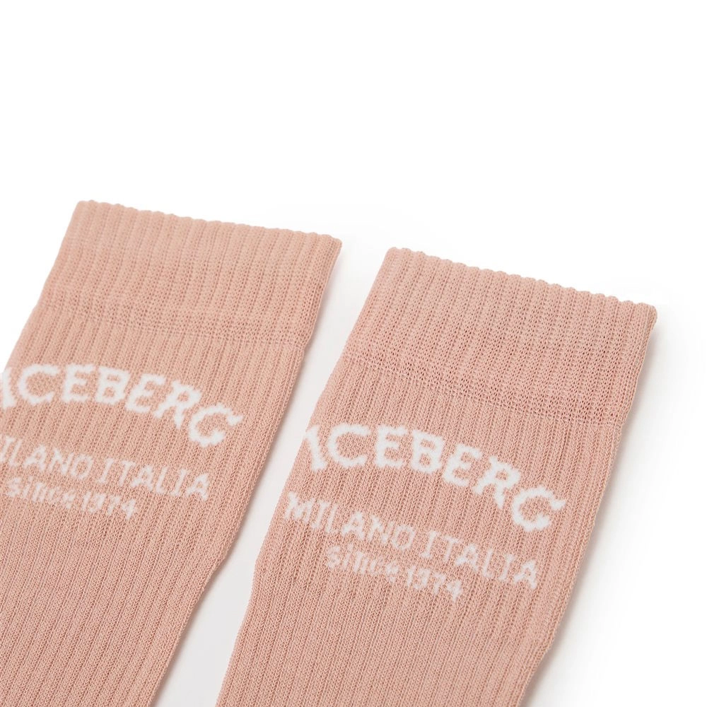 iceberg 1