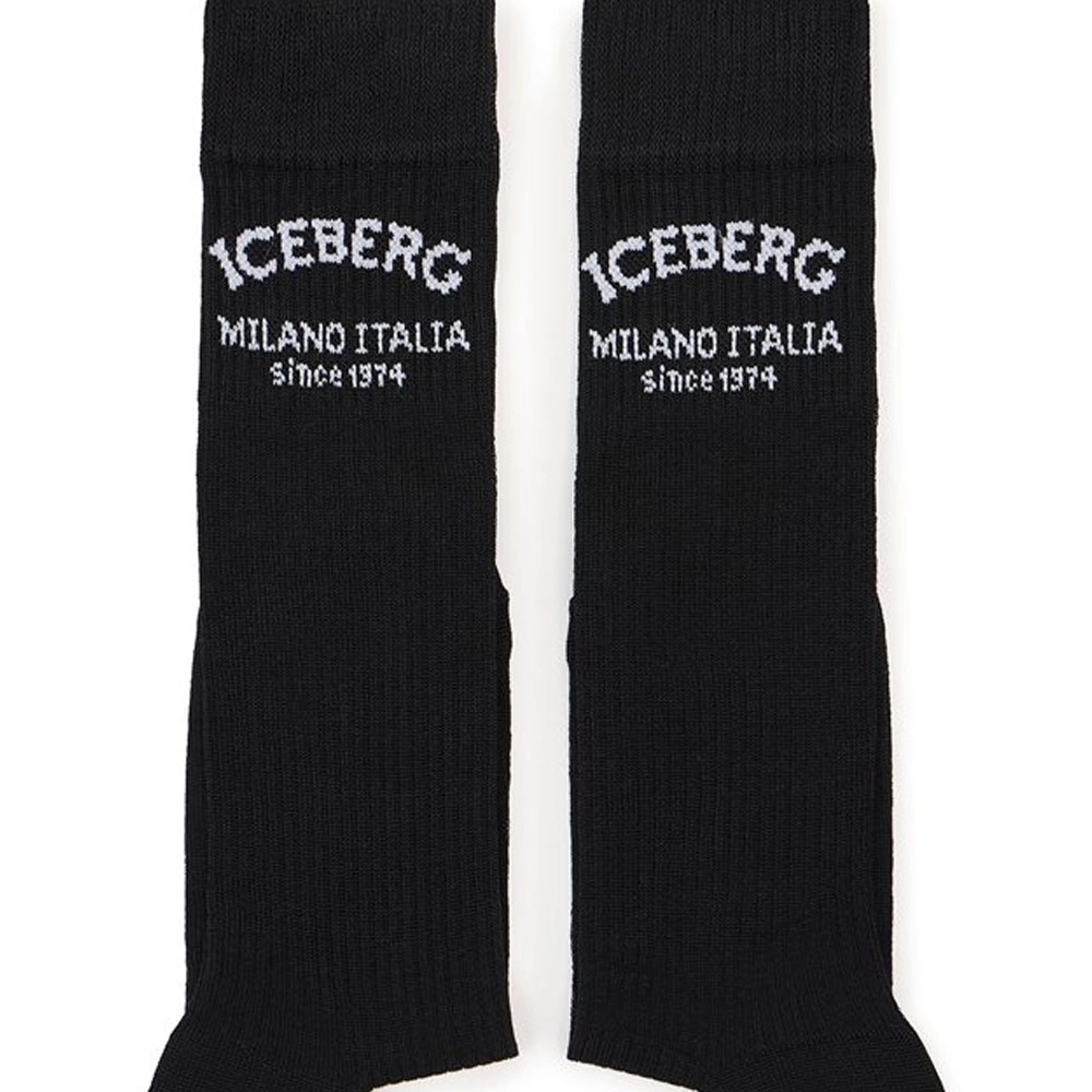iceberg 1