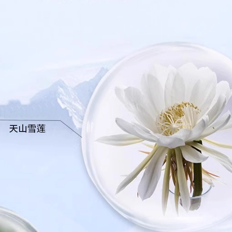 韩后 雪玲珑水乳精华霜护肤套装 保湿补水 五件套