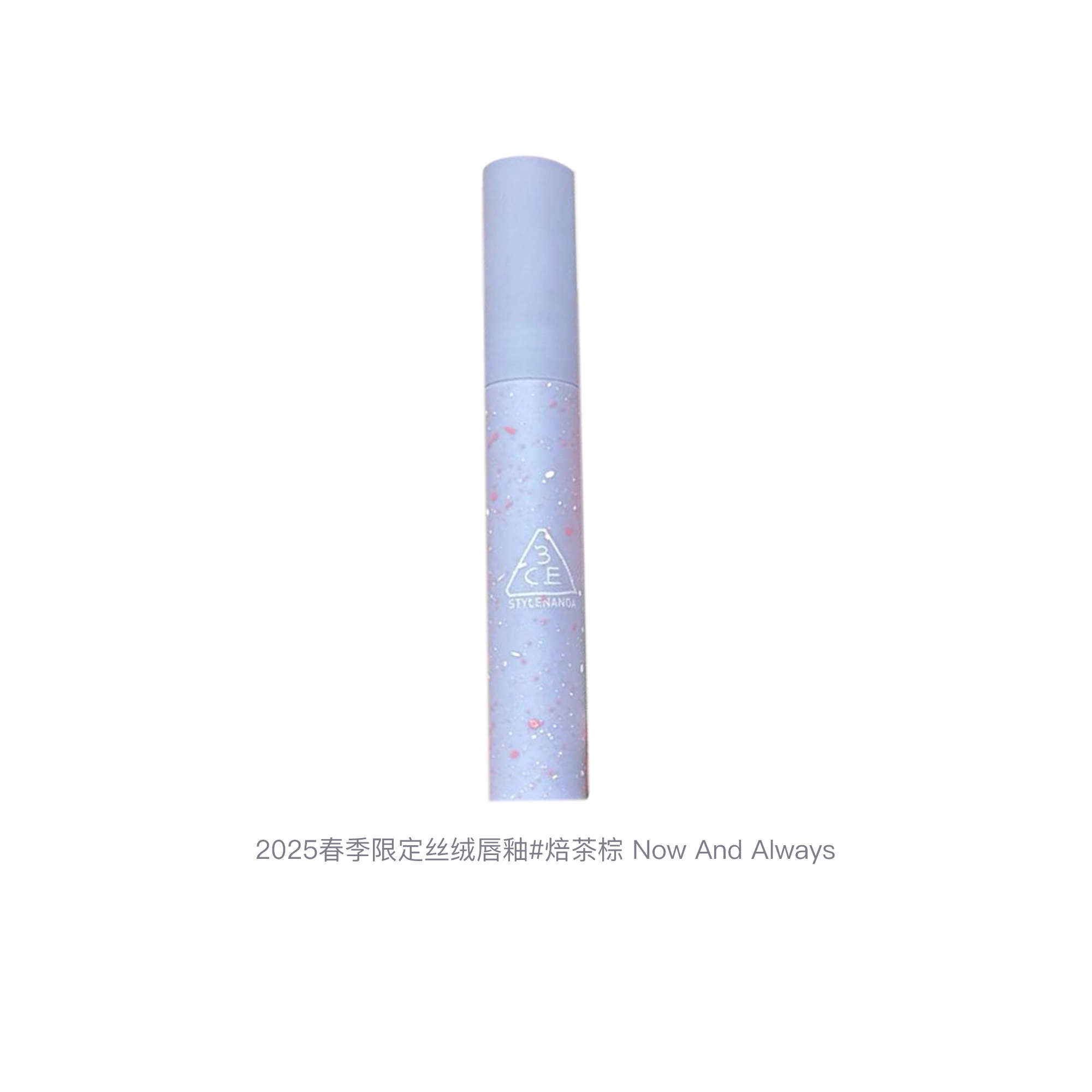 3CE 2025