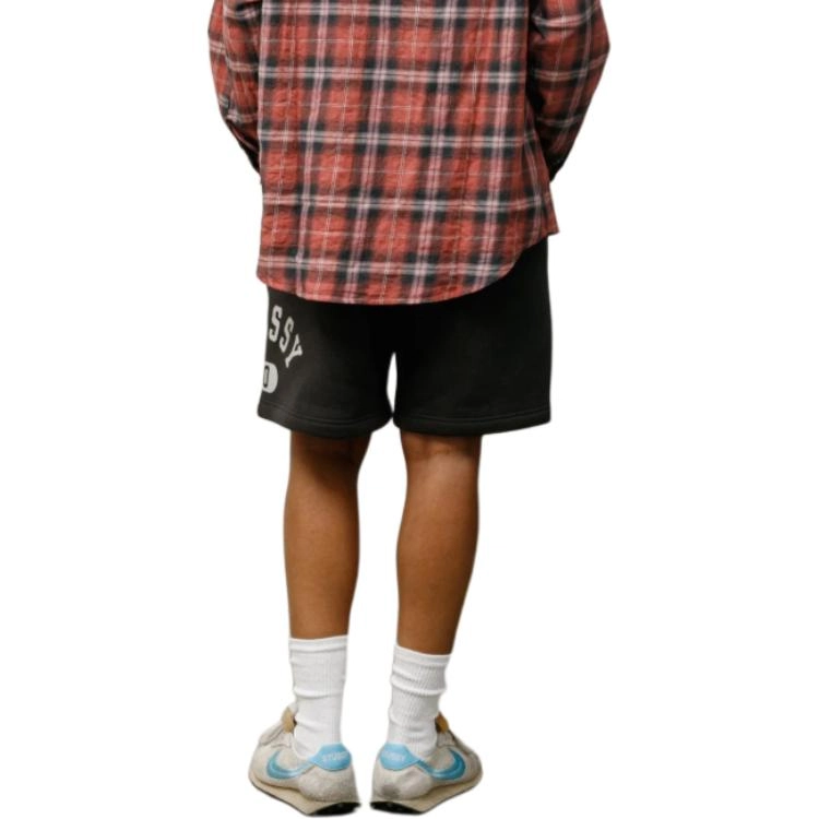Stussy SS25 VARSITY FLEECE SHORT logo