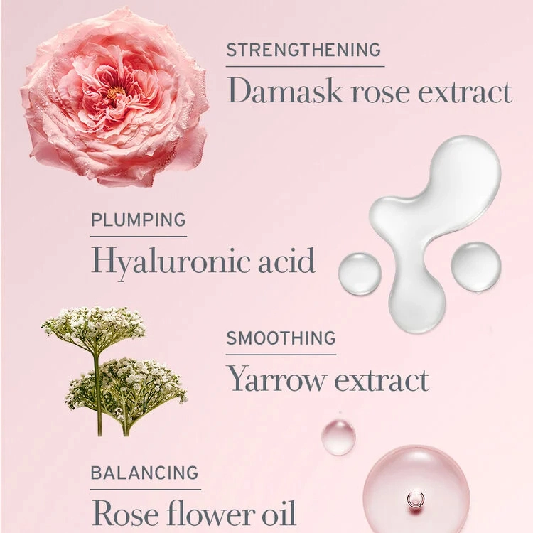 Fresh 100ml
