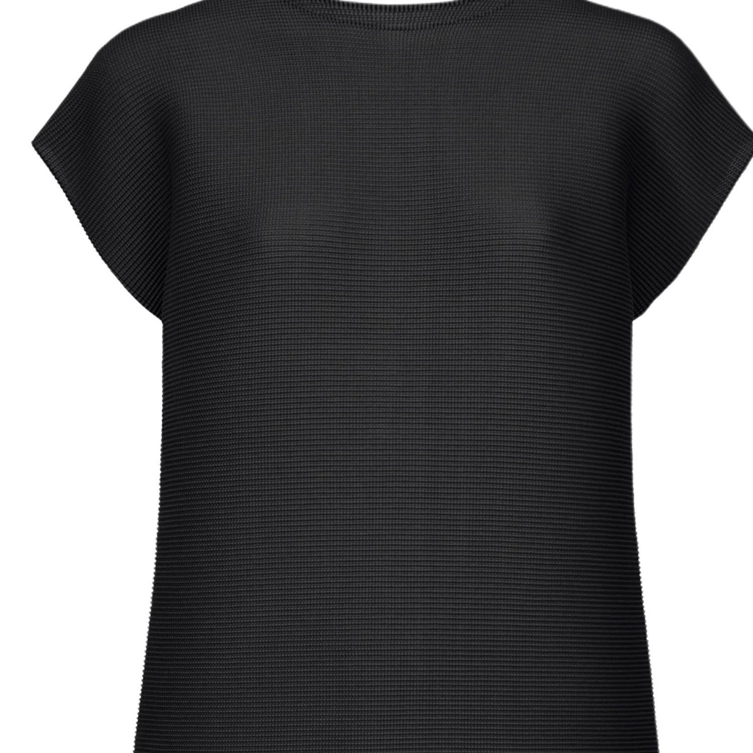 ISSEY MIYAKE FW25 T