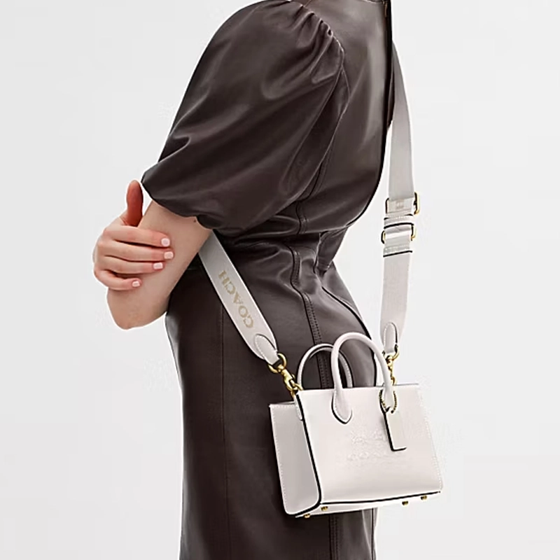 COACH Ace 17 Tote