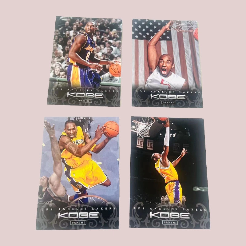 PANINI 2012 - 4