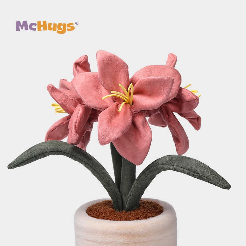 McHugs 36cm