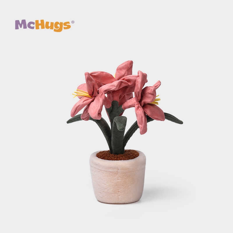 McHugs 36cm