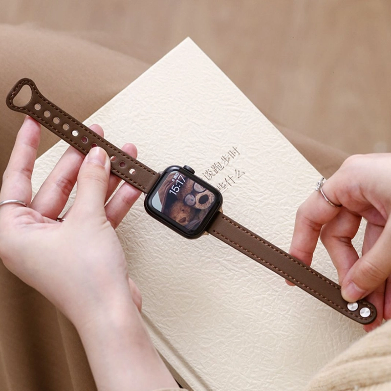 AOMN B-58 apple watch45678