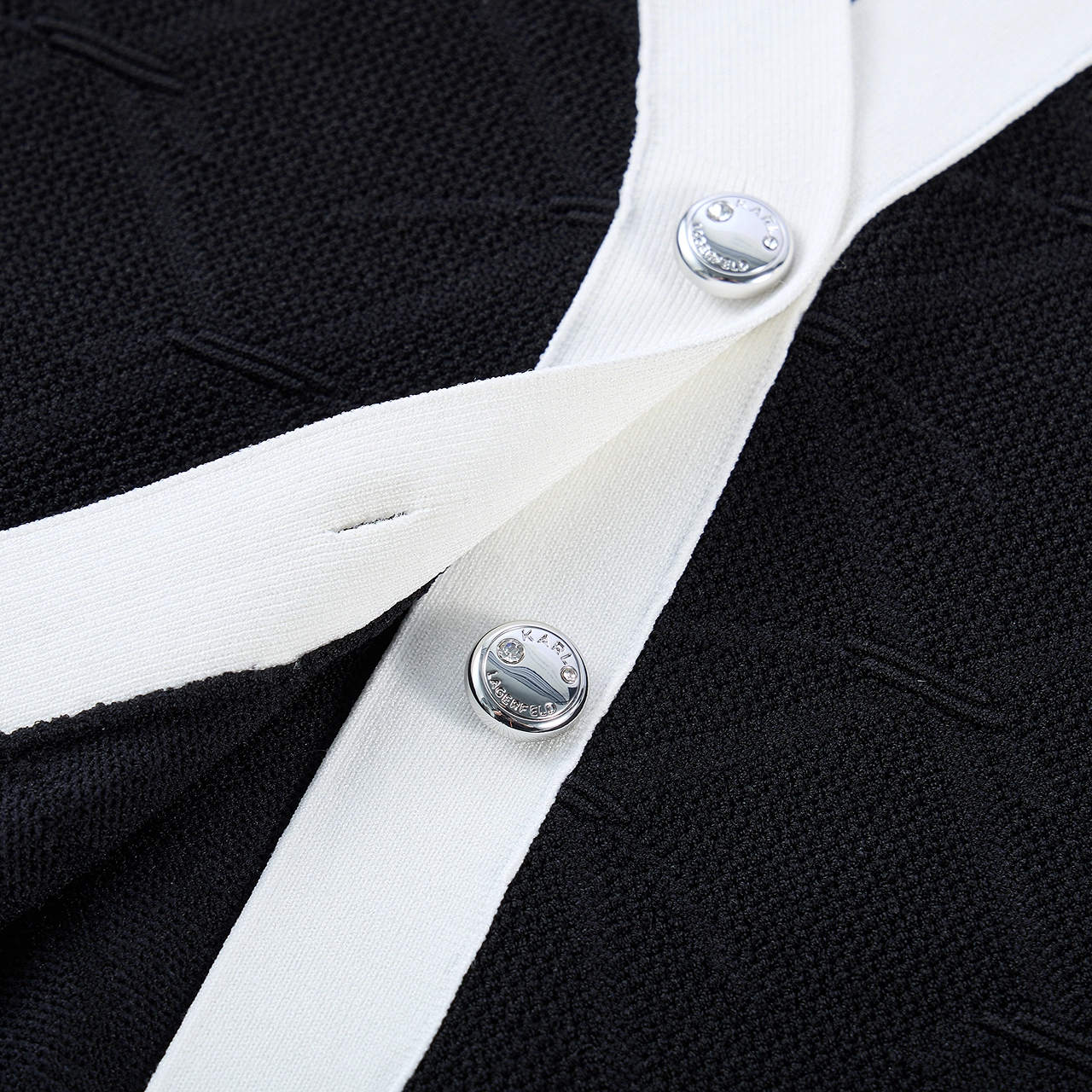 KARL LAGERFELD FW25 V