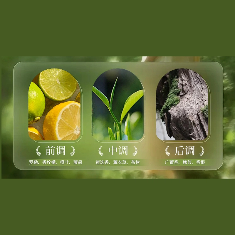 仙维娜植萃菁纯洗发水护发素洗护套装 清洁柔顺