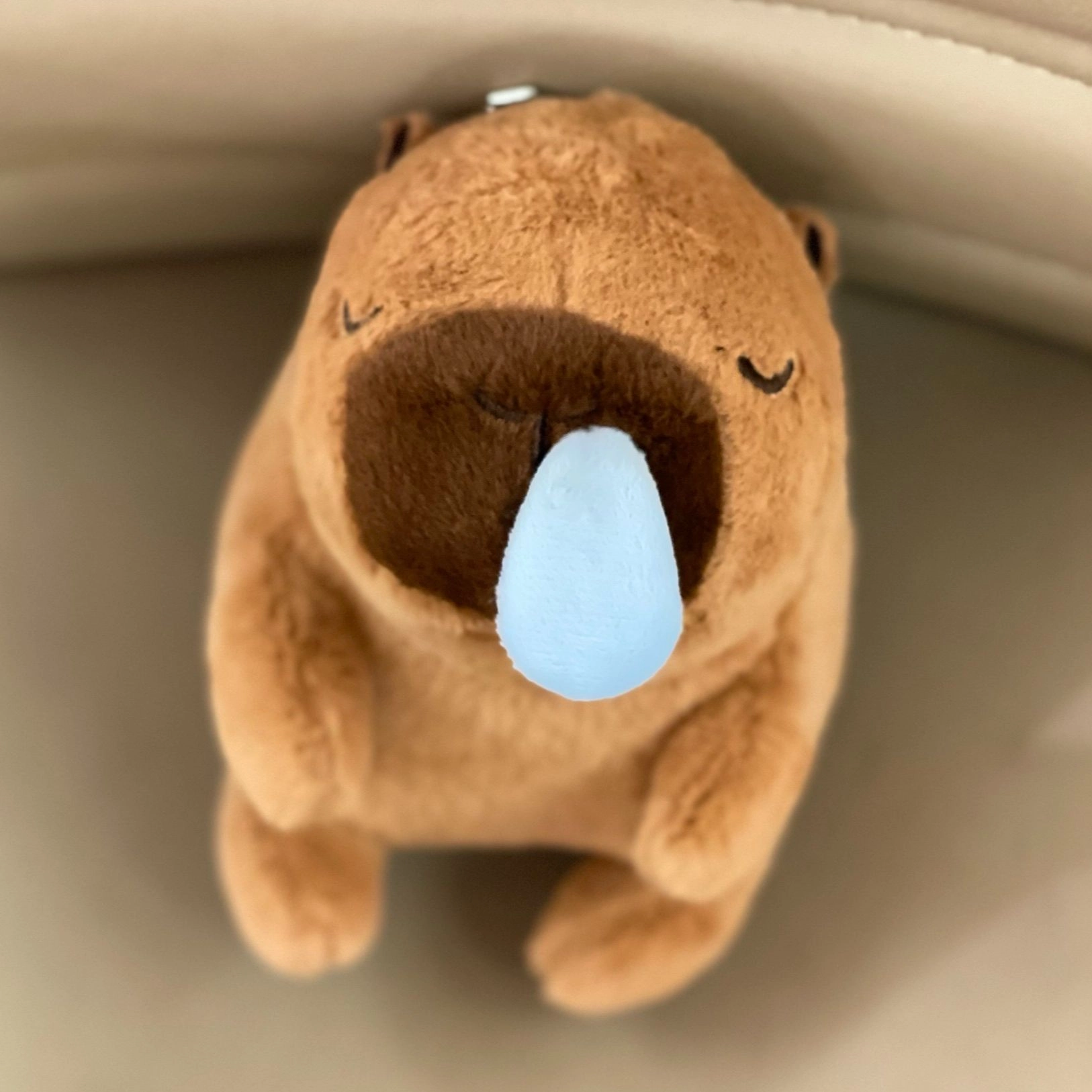 19cm