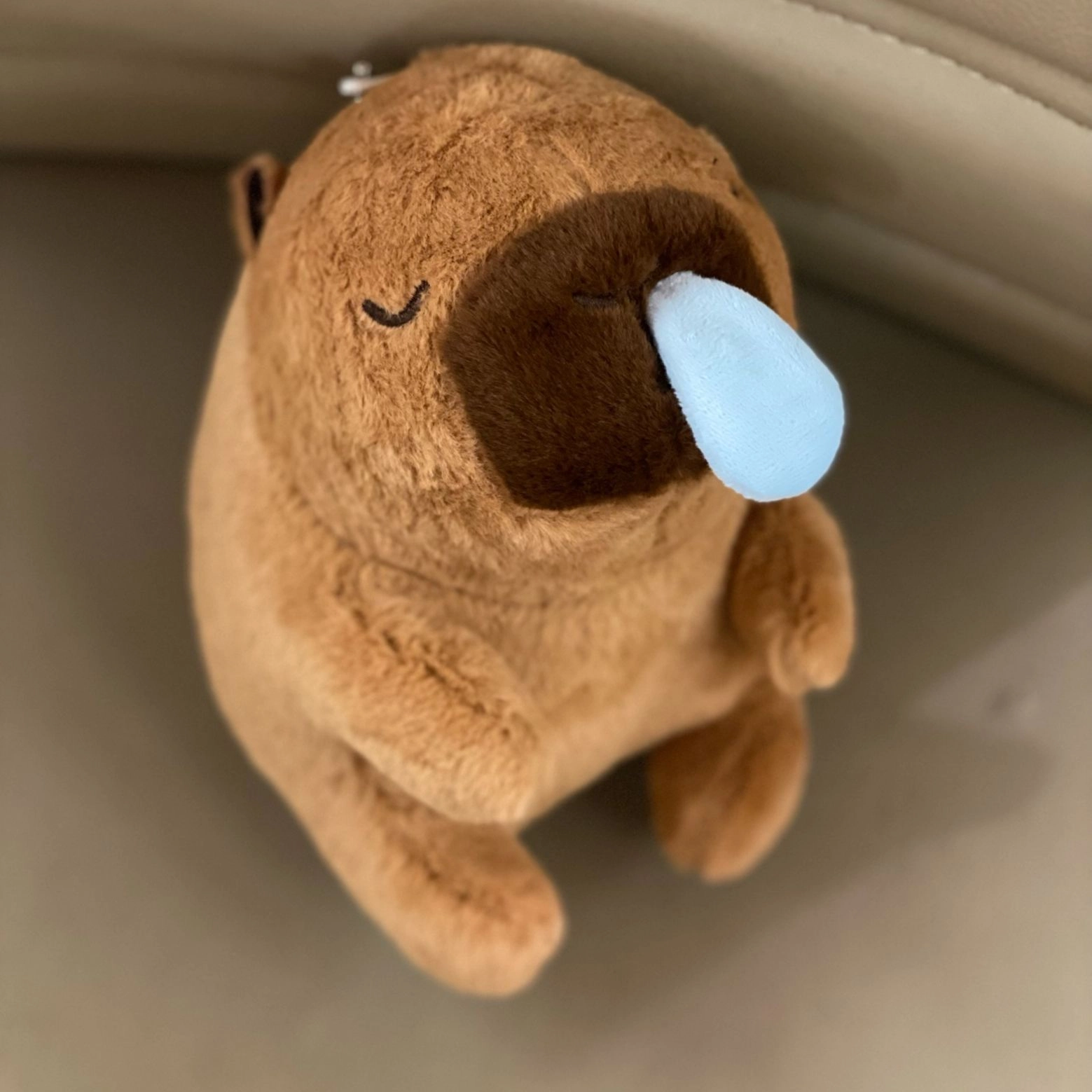 19cm