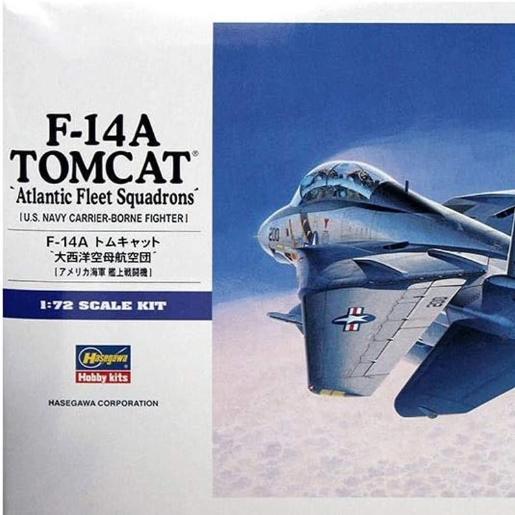 Hasegawa 172 F-14A Tomcat E14