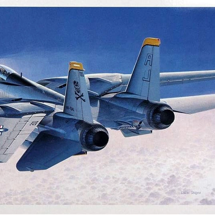 Hasegawa 172 F-14A Tomcat E14