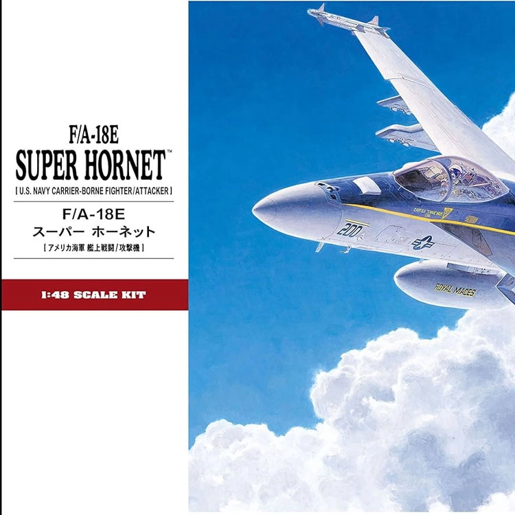 Hasegawa 148 FA-18E PT39