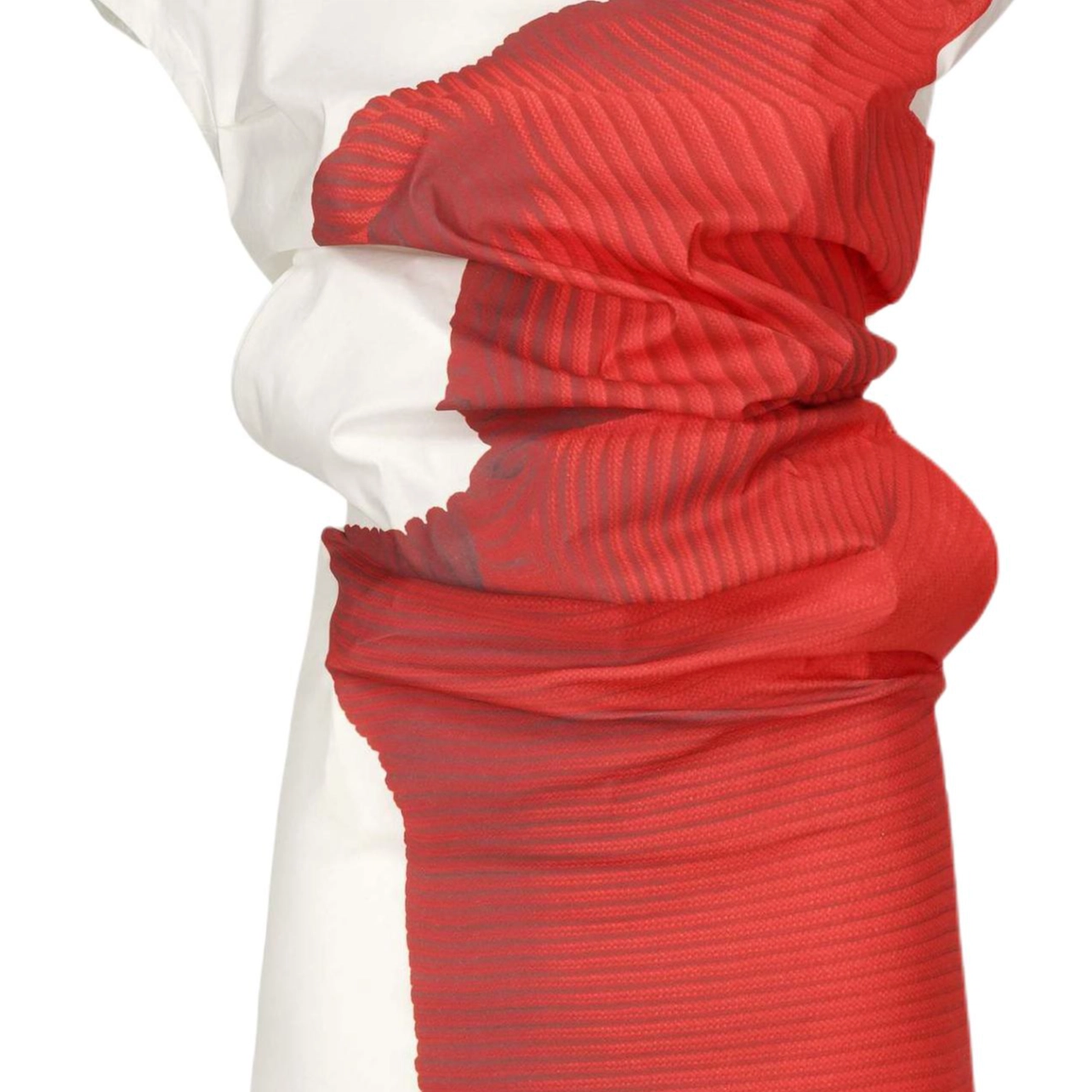 ISSEY MIYAKE FW25
