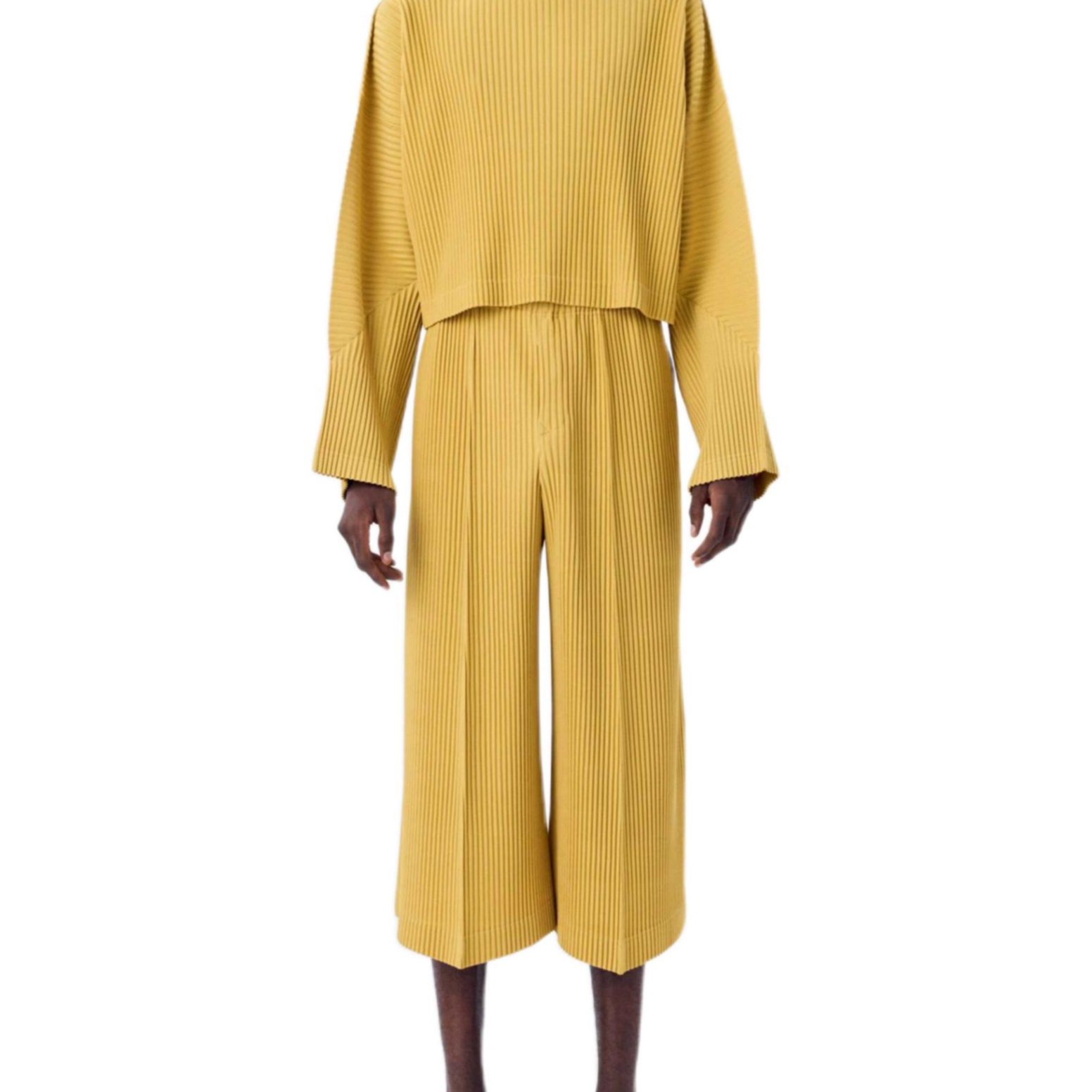 Homme Pliss Issey Miyake