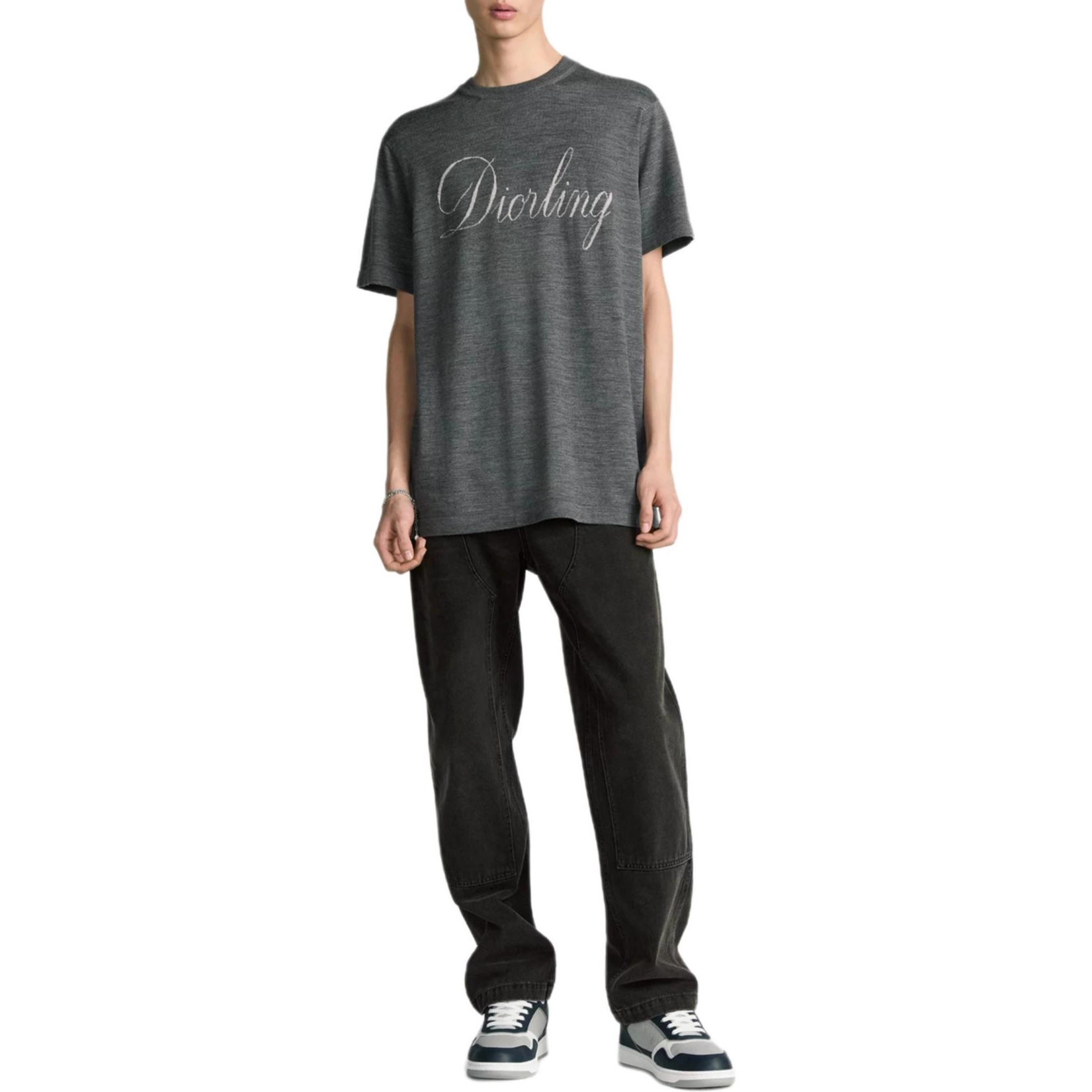 DIOR FW25 T