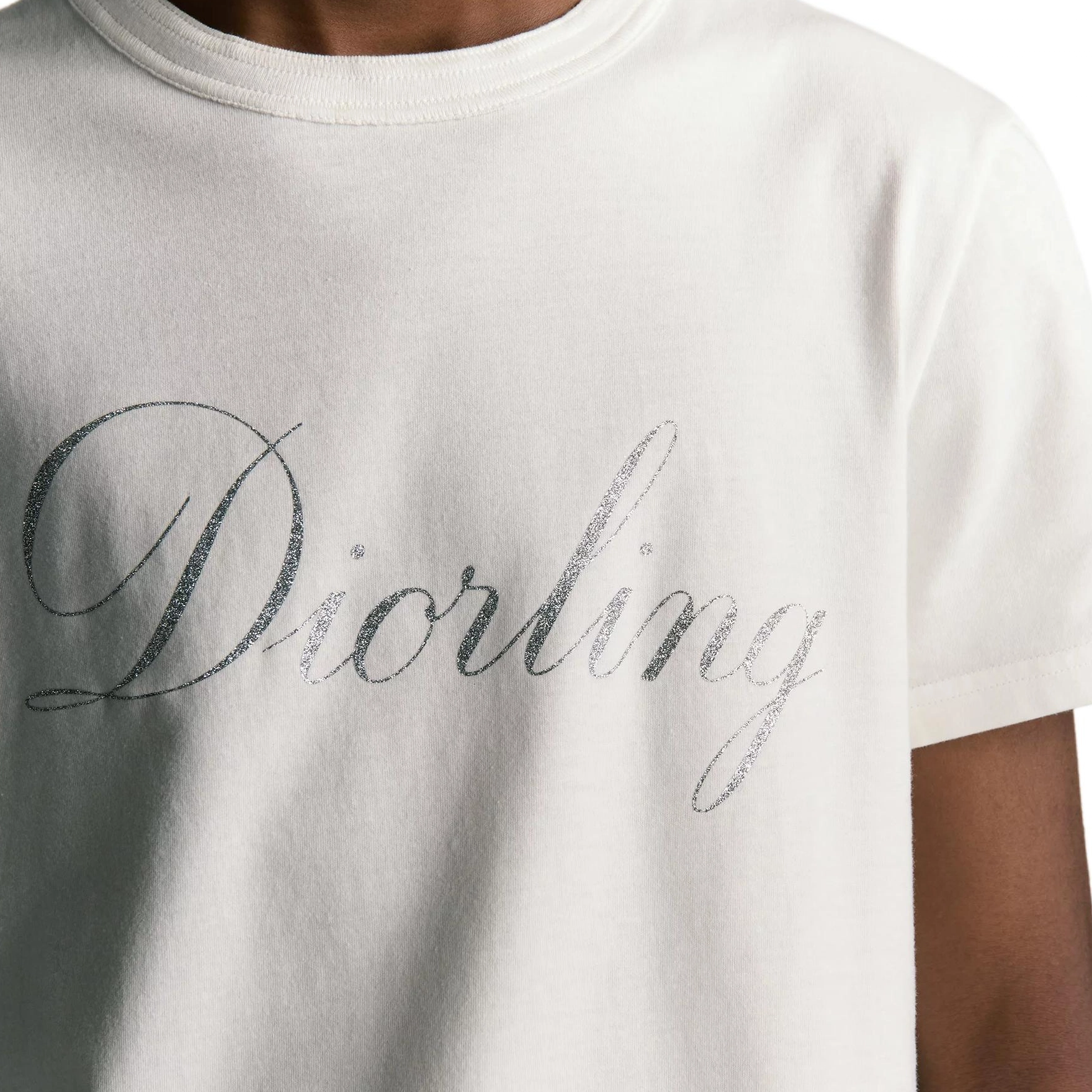 DIOR FW25 T