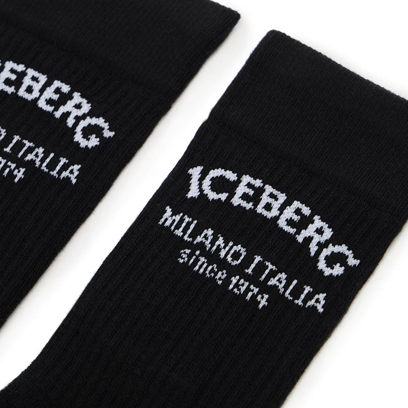iceberg