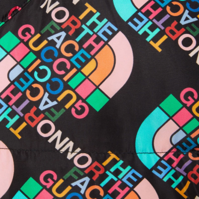 GUCCI x THE NORTH FACE FW22 Logo
